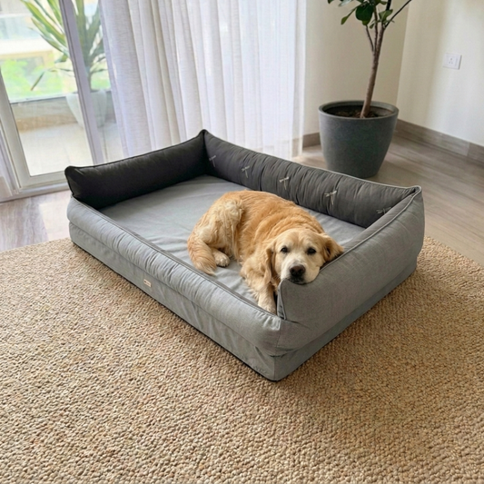 Orthopaedic dog beds Dubai| Memory foam dog beds Dubai| Memory foam dog sofa bed Dubai| Memory foam dog bed with raised sides UAE | PoochMate UAE memory Foam Dog bed