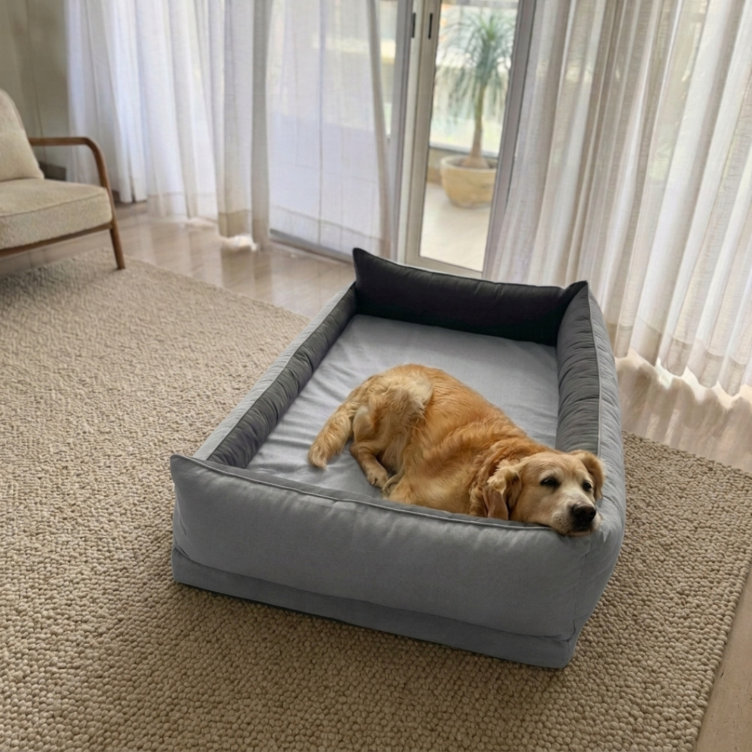 Orthopaedic dog beds Dubai| Memory foam dog beds Dubai| Memory foam dog sofa bed Dubai| Memory foam dog bed with raised sides UAE | PoochMate UAE memory Foam Dog bed