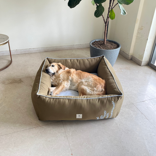 Large dog beds online Dubai | Dog beds with washable covers UAE