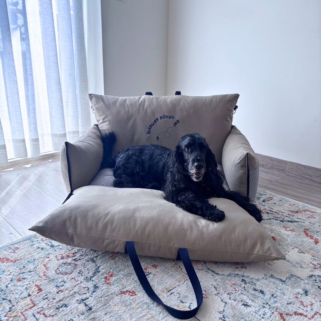 PoochMate Travel Bed for Medium Dogs : Sawdust Highway Hound