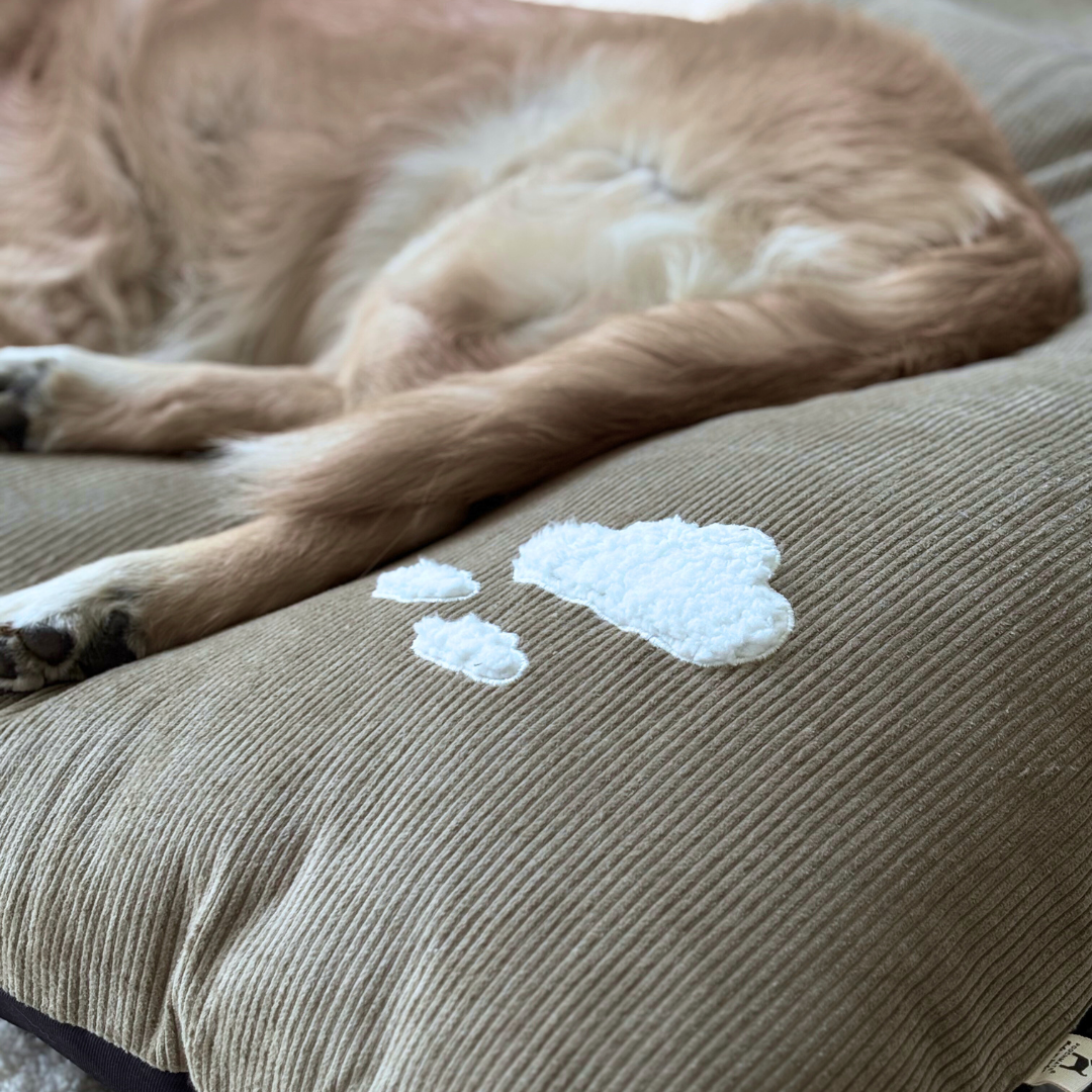 Large dog beds Dubai | Washable large dog beds Dubai 