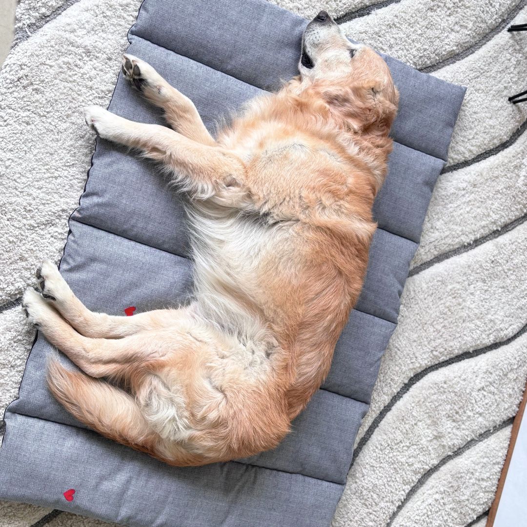 Fluffy dog beds Dubai | Mats for large dogs | Crate mats for dogs UAE