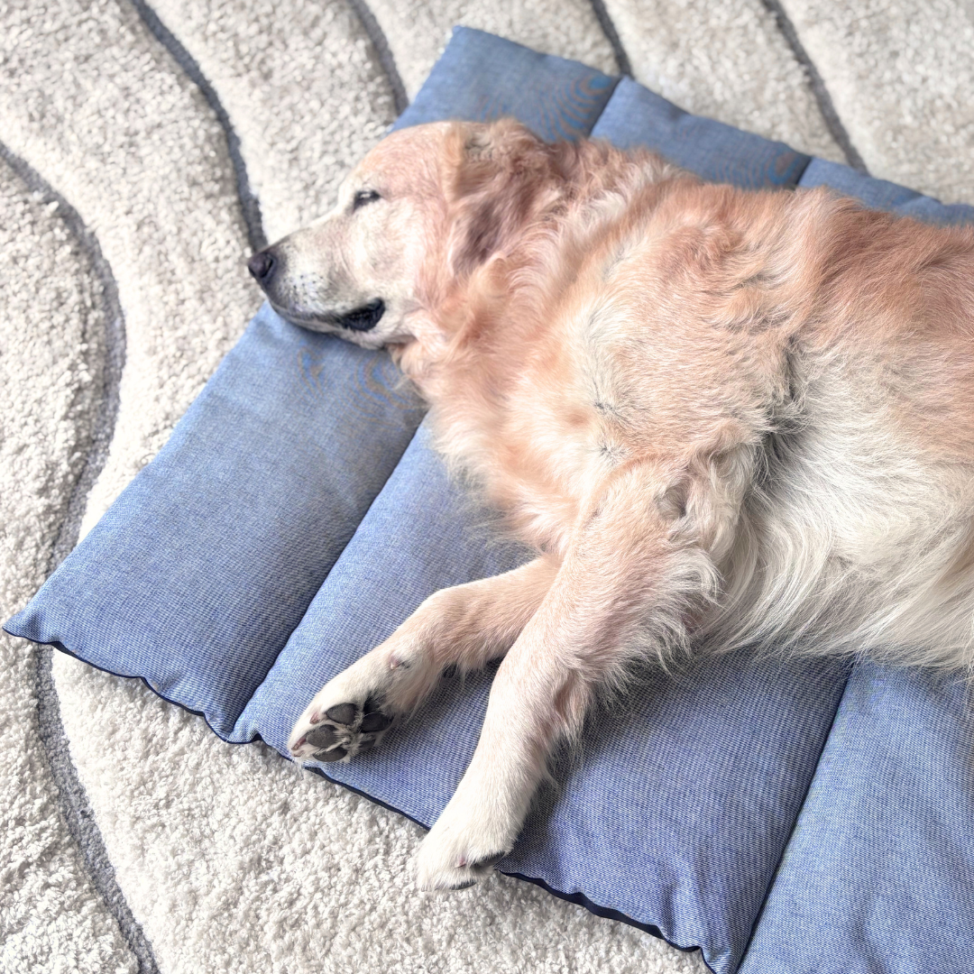 PoochMate UAE | best dog beds| best dog beds for large dogs