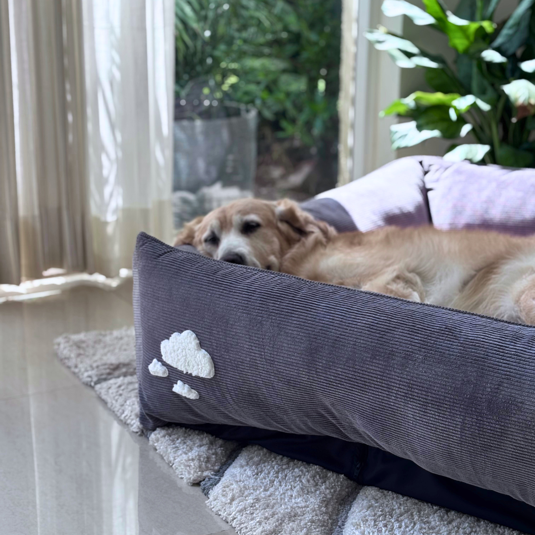 Large Dog Beds Dubai | Best washable dog beds Dubai | Washable dog beds Dubai price | Washable cotton dog bed Dubai online