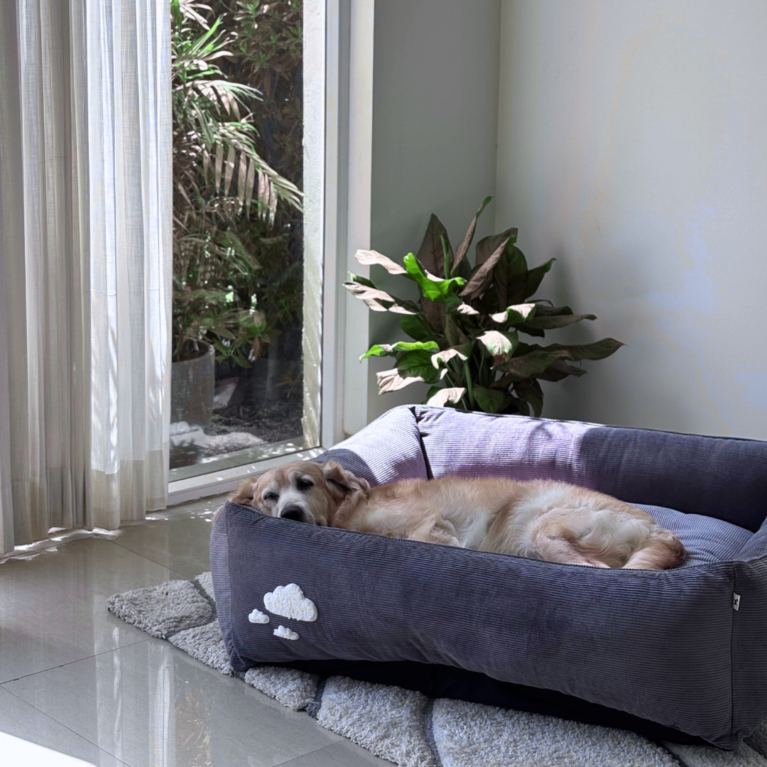 Luxury Washable Dog Beds Dubai | Best washable dog beds Dubai | Washable dog beds Dubai price | Washable cotton dog bed Dubai online