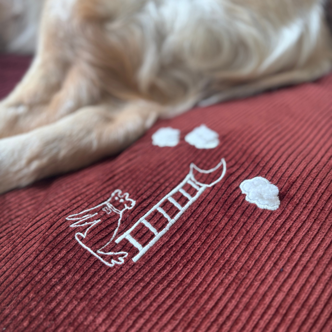 Large dog beds with removable covers Dubai | Best dog beds UAE | Luxury dog beds Dubai