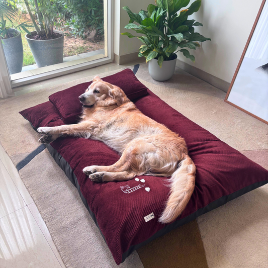 Flat Dog Beds Dubai | Dog bed with washable covers | Best dog beds online Dubai