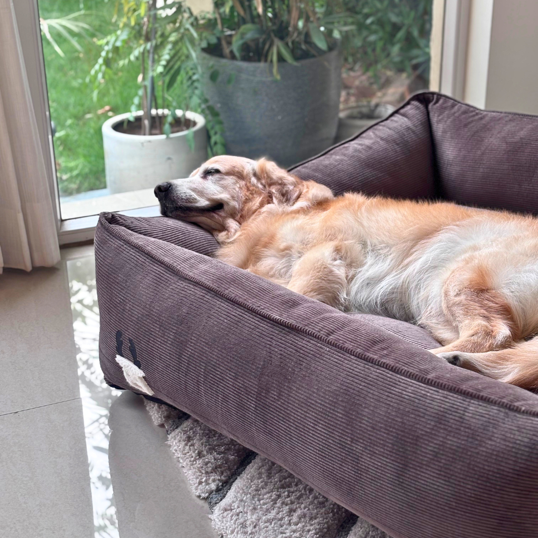 Washable dog beds | Corduroy dog beds | Cotton dog beds Dubai | PoochMate UAE Beds