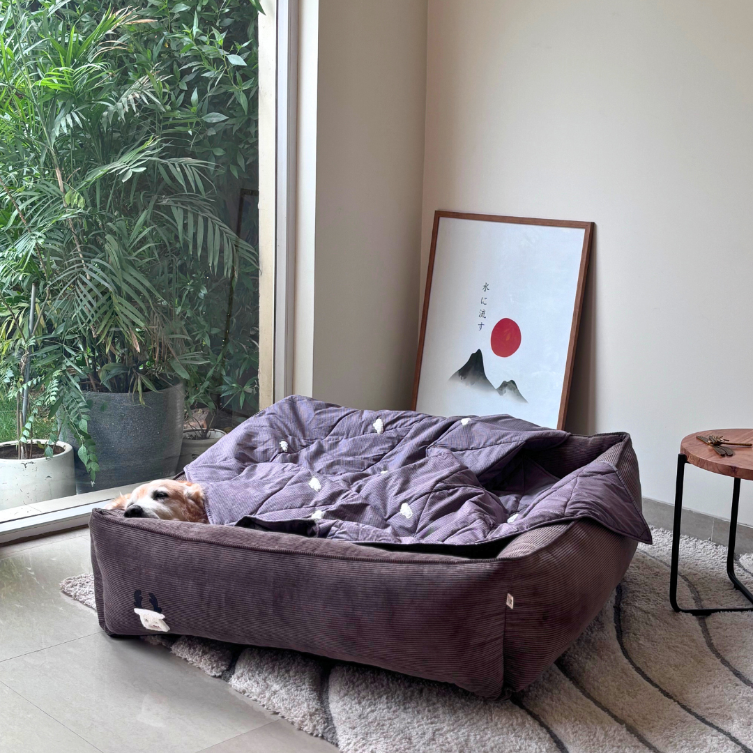 Dog bed and blanket sets Dubai | Cotton washable dog bedding sets UAE| Best dog beds online Dubai