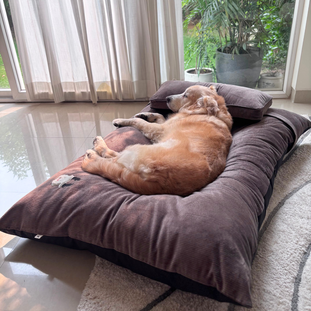 Flat Dog Beds Dubai | Dog bed with washable covers | Best dog beds online Dubai
