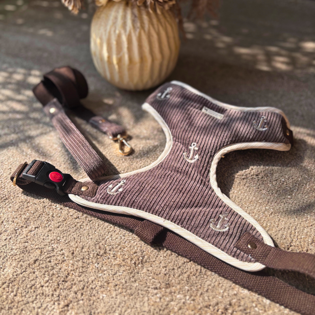 Dog Harness & Leash | Dog Walking Harness | Cotton dog harness Dubai| Pet Harness Sets 