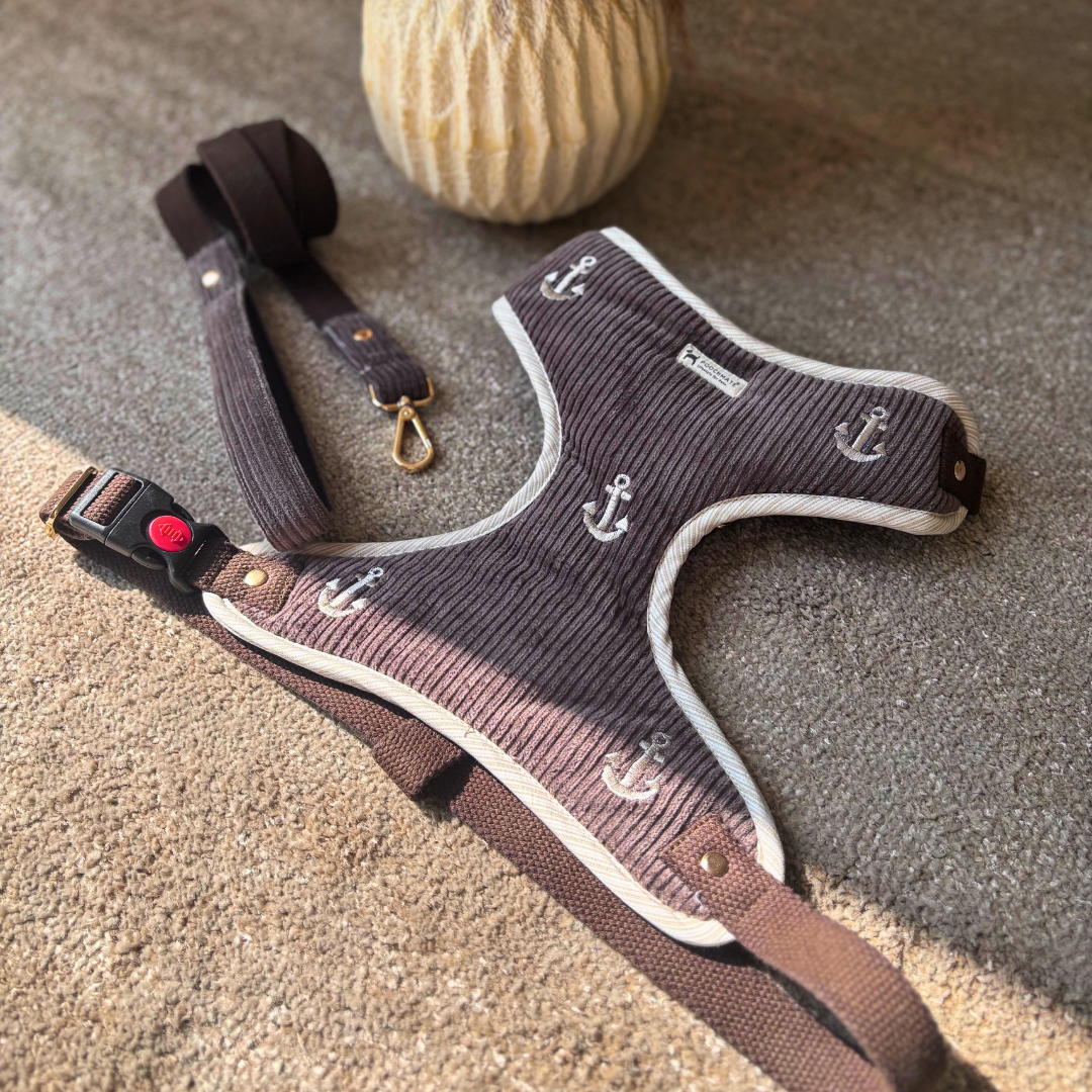 Dog Harness & Leash Dubai | Dog Walking Harness | Cotton dog harness Dubai| Pet Harness Sets | PoochMate UAE