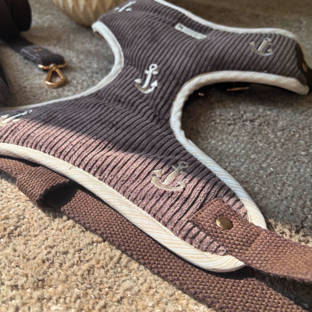 Cotton Dog Harness & Leash | Dog Chest vest Harness | Cotton dog harness Dubai| Pet Harness Sets 