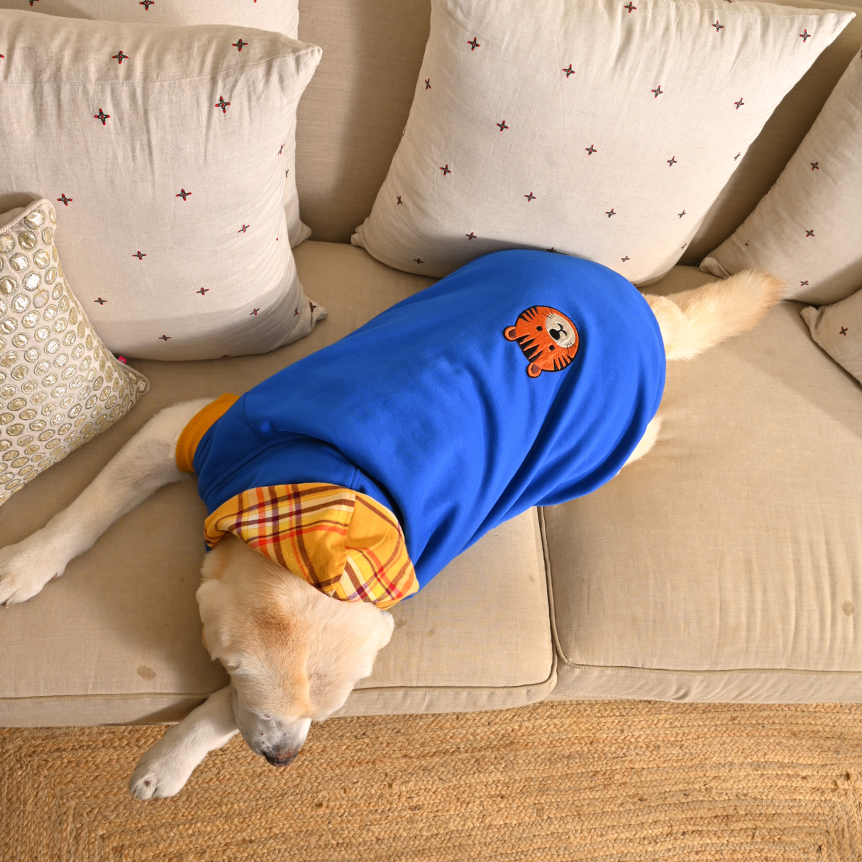 Dog Sweatshirts | Large dog clothes online Dubai