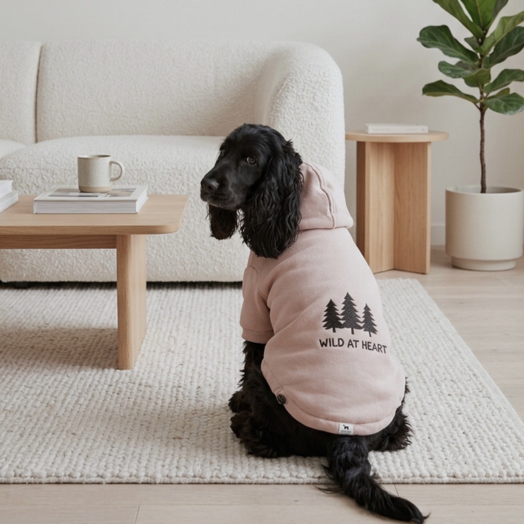 Dog sweatshirts Dubai | Large Dog Winter wears online Dubai | Dog Clothes online UAE