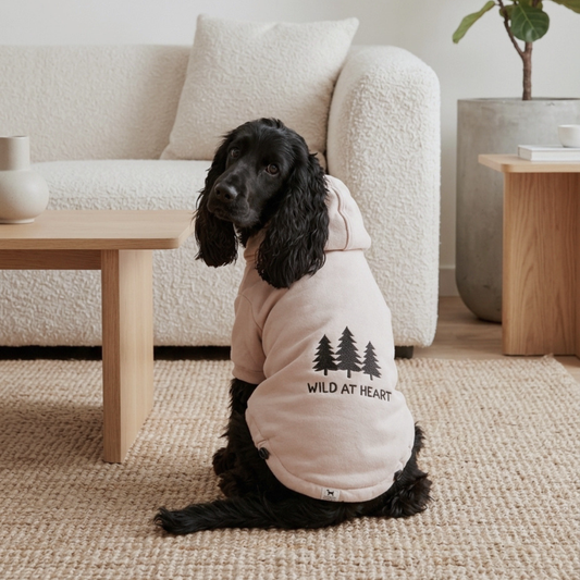 Dog hoodies Dubai | Dog Winter wears online Dubai | Dog Clothes online UAE