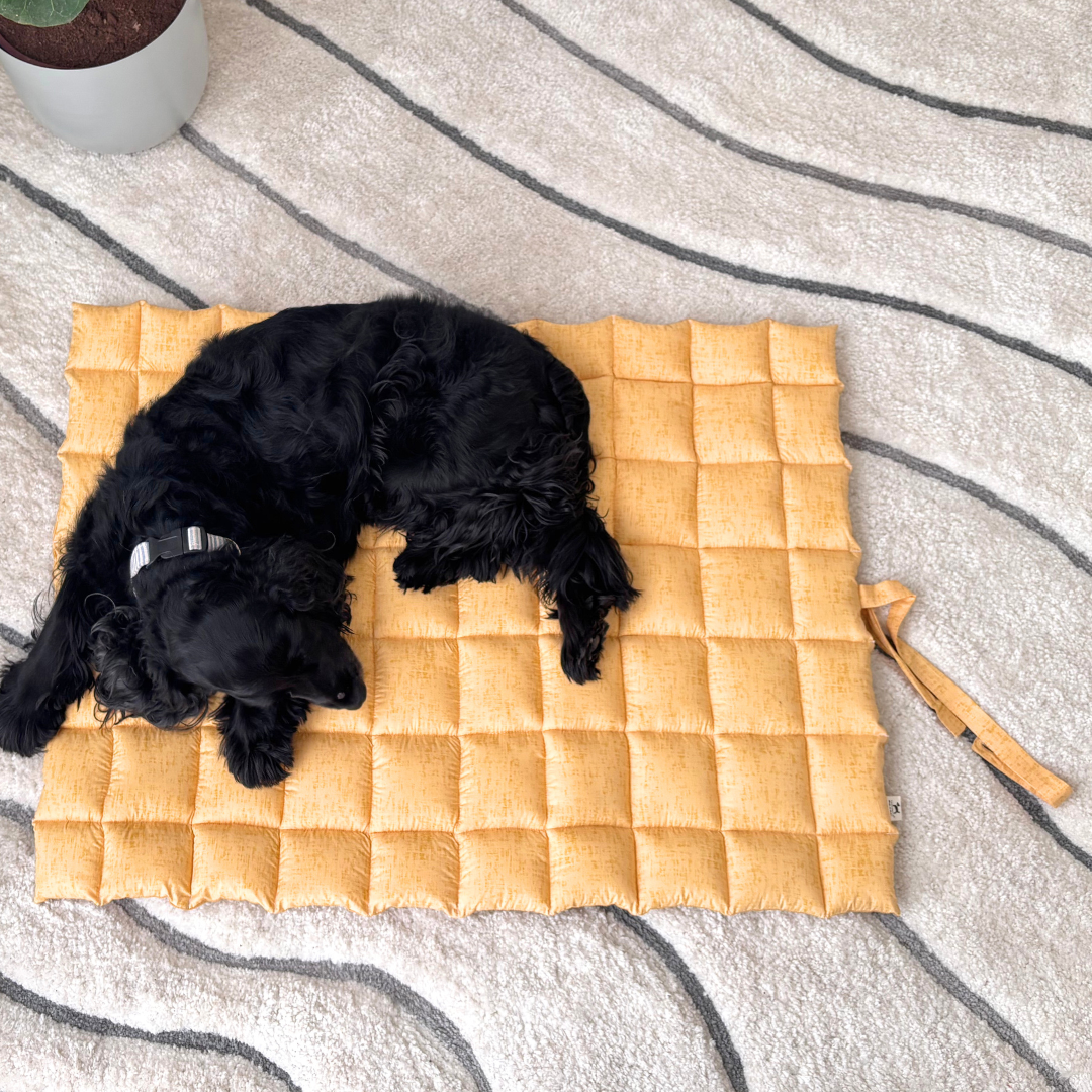 Pet Mats Dubai | Dog Mats Dubai
