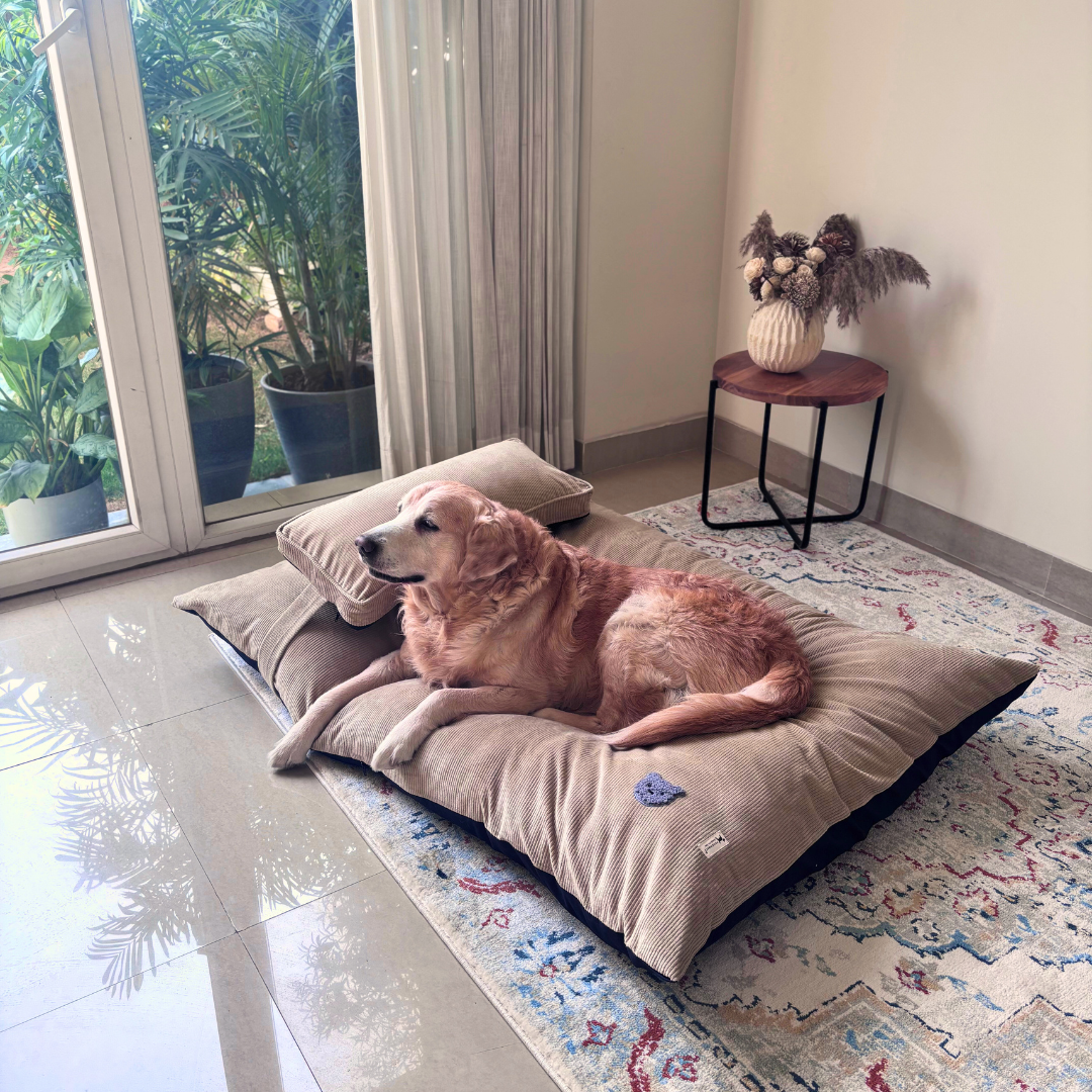 Cotton Dog Beds Dubai | Dog bed with washable covers | Best dog beds online Dubai