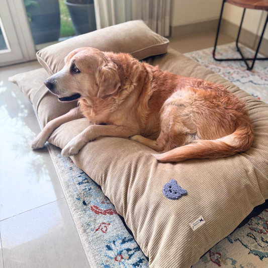 Large Dog Beds Dubai | Dog bed with washable covers | Best dog beds online Dubai
