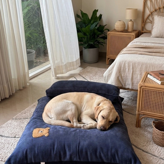 Flat Dog Beds Dubai | Large dog bed with removable cover | Washable dog beds online UAE