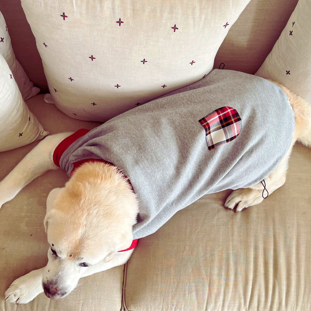 Grey Dog Sweatshirt | Winter clothes for dogs UAE