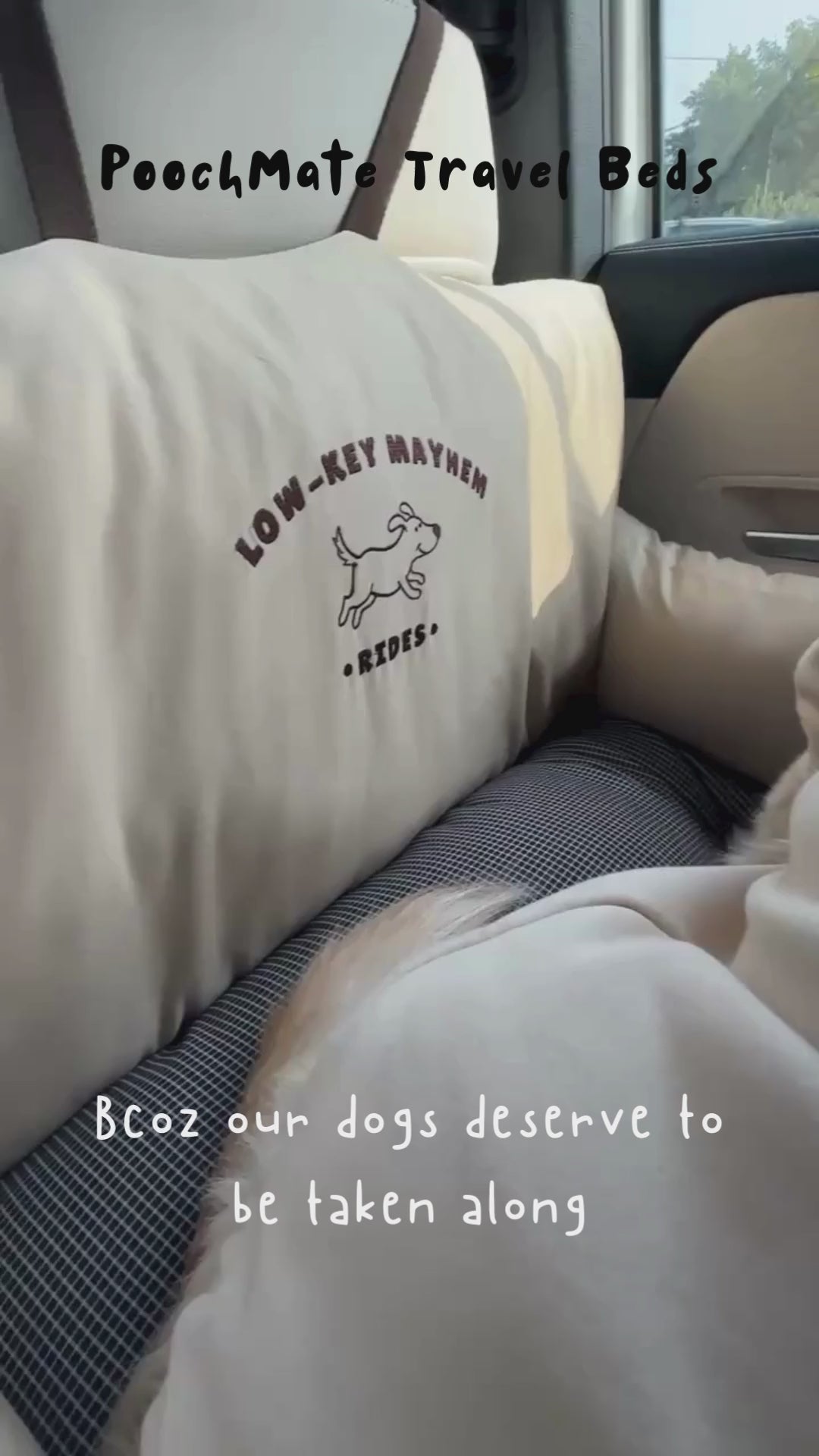 PoochMate UAE| Travel Dog Beds Dubai | Car seats for large dogs Dubai| Dog Travel beds Dubai