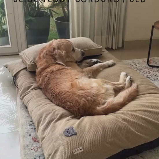 Corduroy Dog Beds Dubai | Dog bed with removable covers | Best dog beds online Dubai| PoochMate UAE Beds