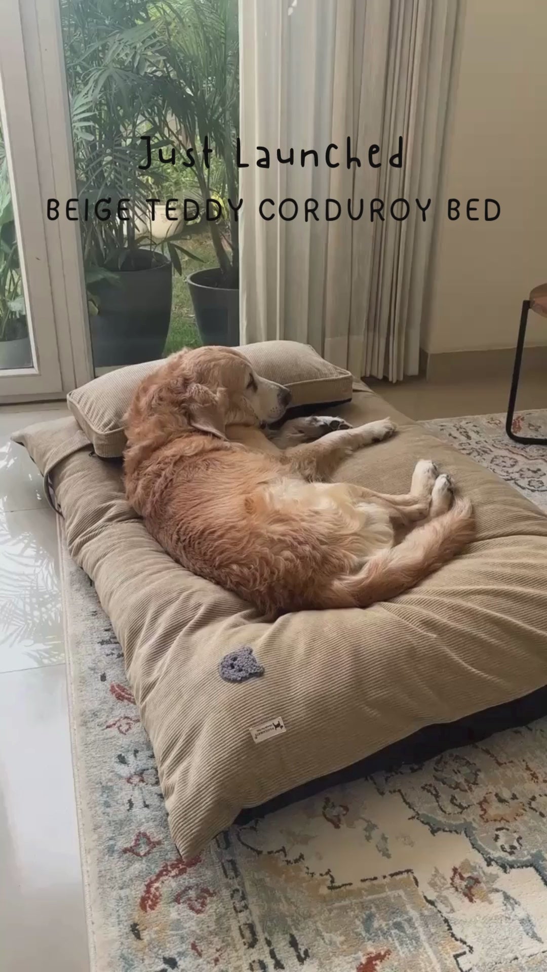 Corduroy Dog Beds Dubai | Dog bed with removable covers | Best dog beds online Dubai| PoochMate UAE Beds