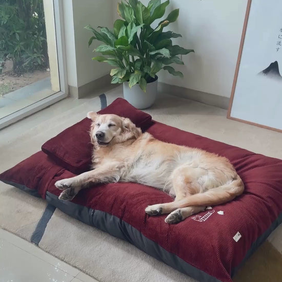 Large dog beds Dubai | Best dog beds UAE | Luxury dog beds Dubai