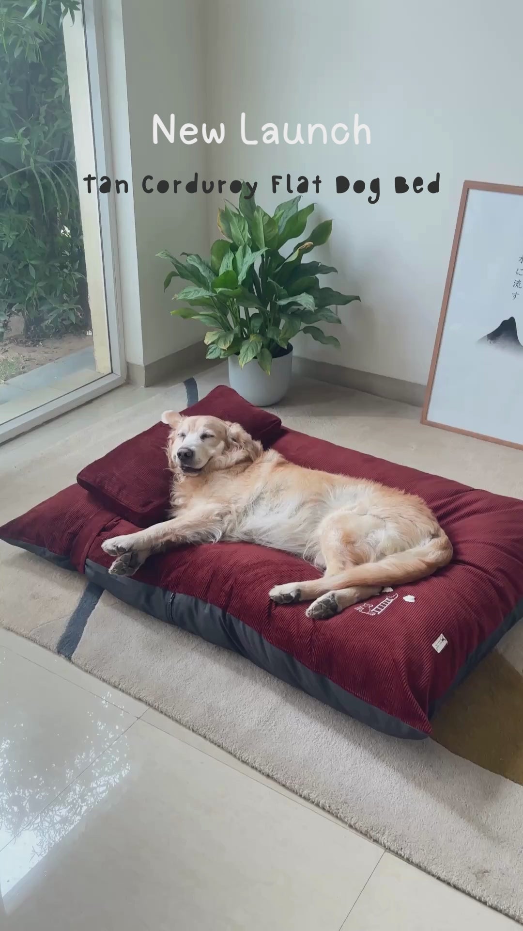 Large dog beds Dubai | Best dog beds UAE | Luxury dog beds Dubai
