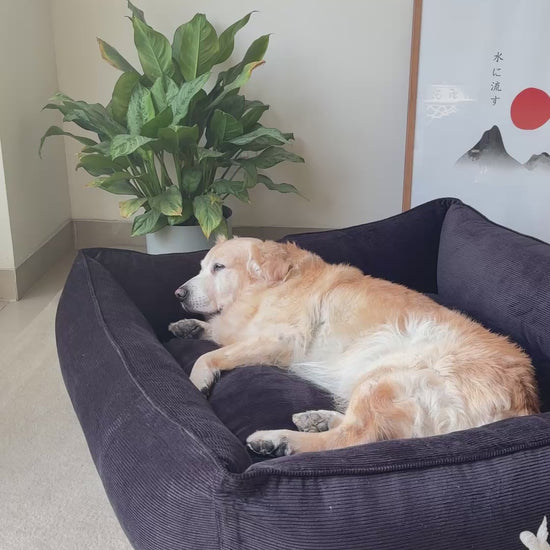 PoochMate UAE | Dog Beds with removable covers online Dubai | Large washable dog beds Dubai | Corduroy Dog Beds UAE