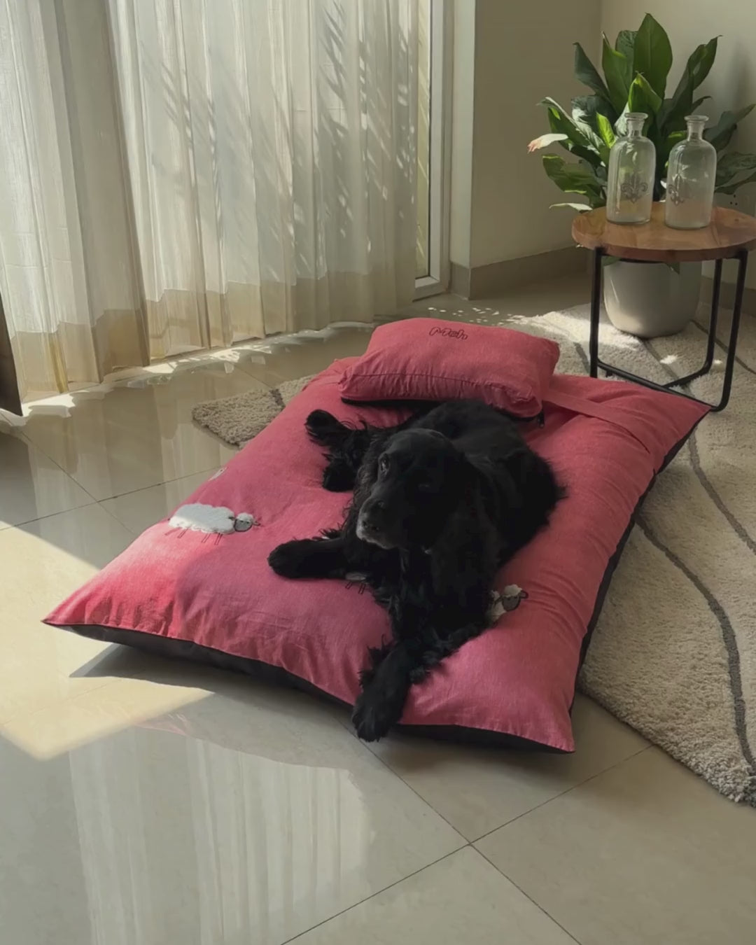 Flat Dog beds Dubai | Dog beds with washable covers Dubai | Cotton Dog Beds Online UAE