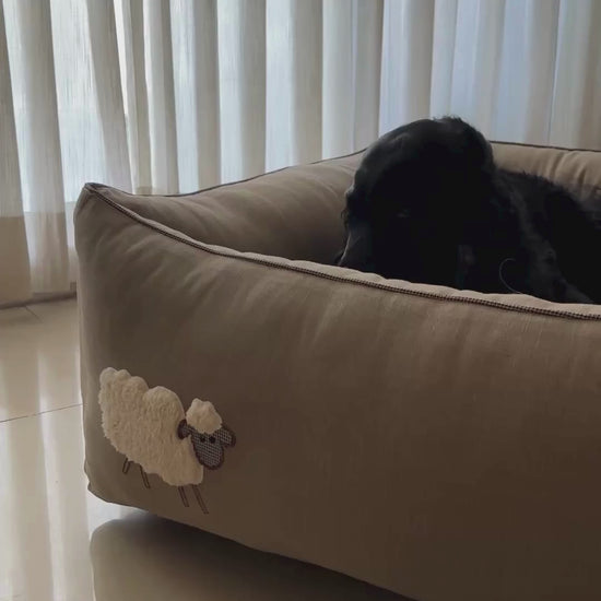 Dog beds with removable covers | Cotton Dog Beds online UAE