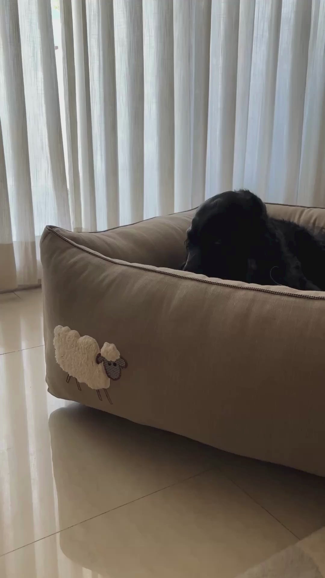 Dog beds with removable covers | Cotton Dog Beds online UAE