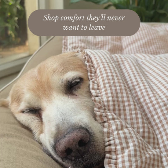 PoochMate UAE | Dog Beds with removable covers online UAE| Large washable dog beds Dubai | Dog Beds UAE