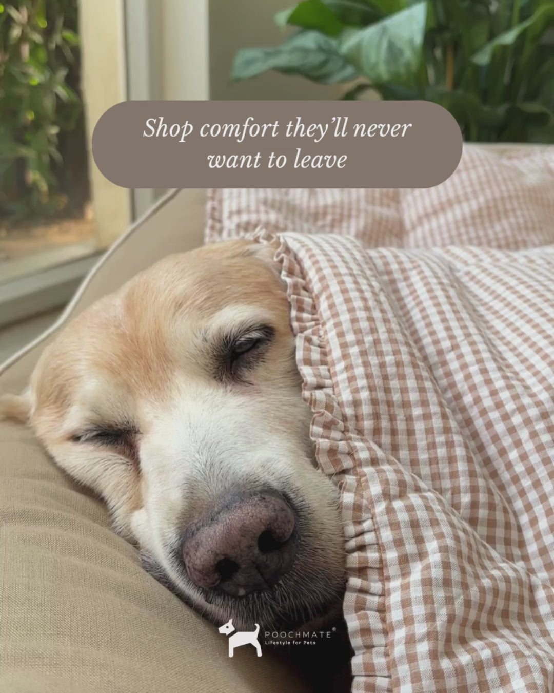 PoochMate UAE | Dog Beds with removable covers online UAE| Large washable dog beds Dubai | Dog Beds UAE