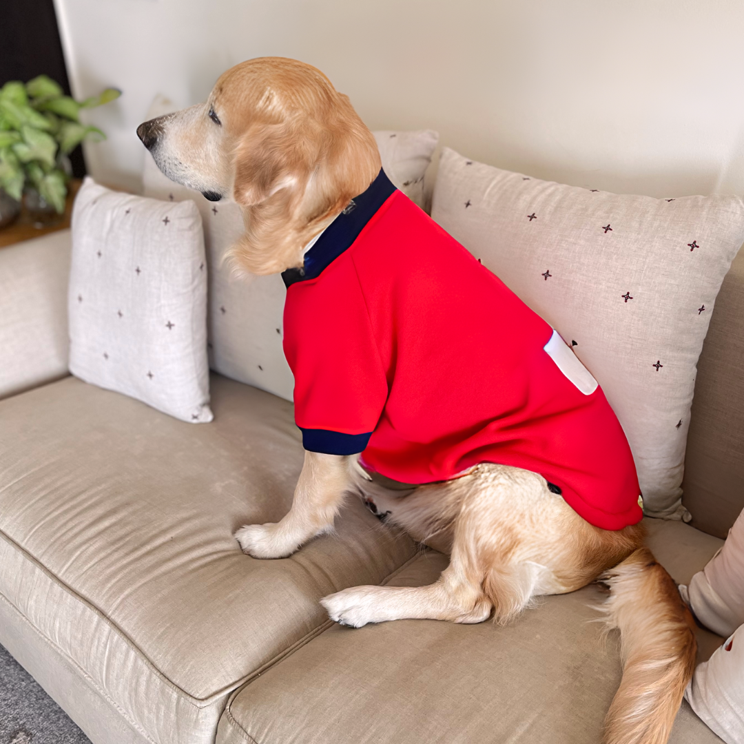 Fleece Sweatshirts for dogs | Dog Clothes Dubai