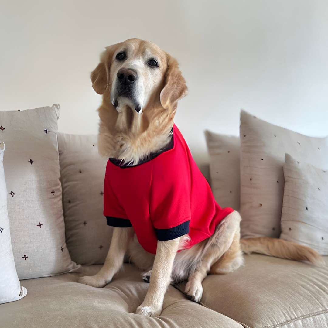 red Dog Sweatshirt | Winter clothes for dogs UAE