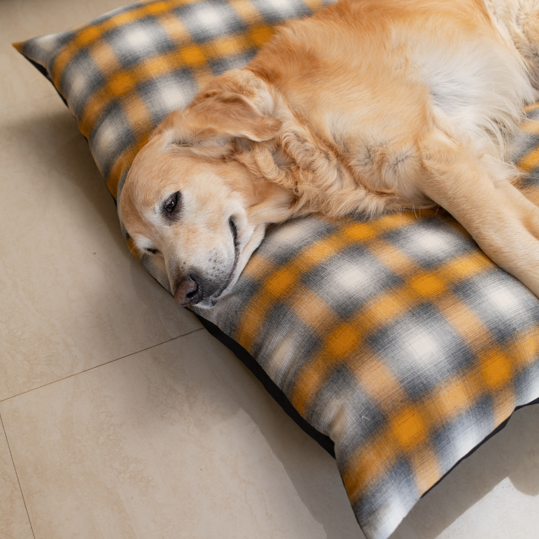 Pillow Dog Beds | Flat Large Dog Beds online India