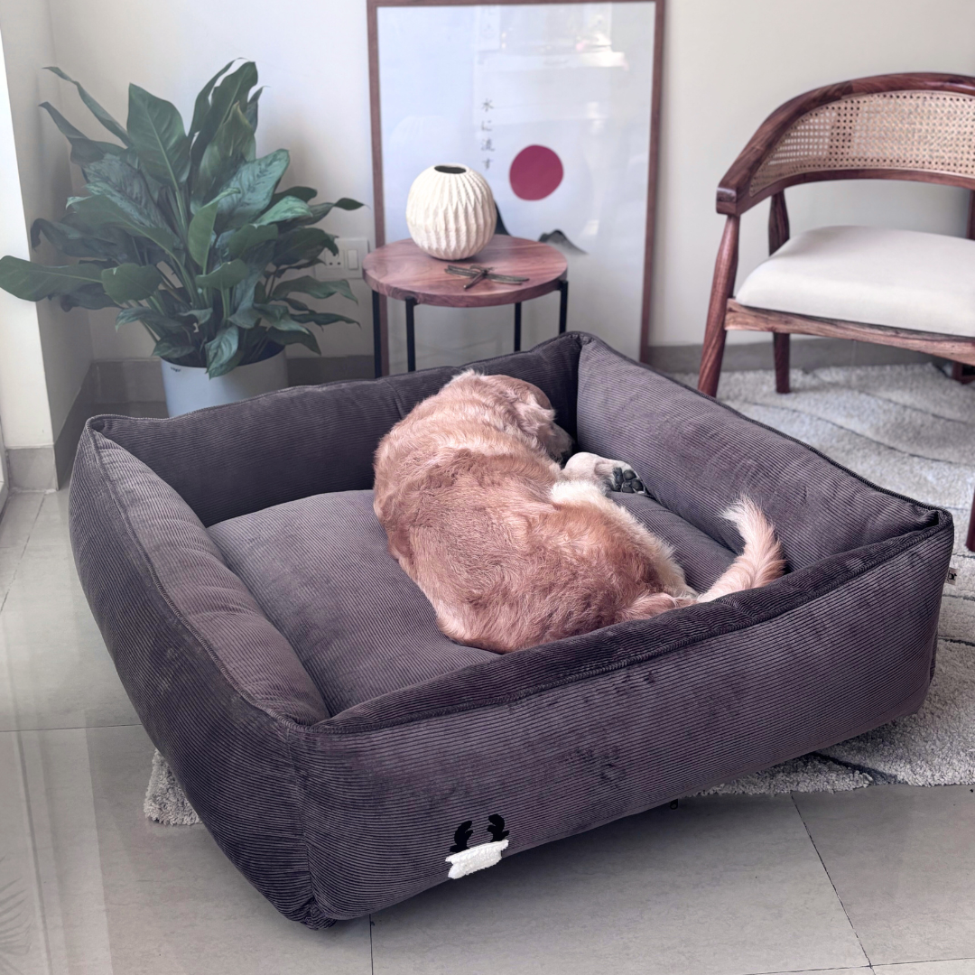Washable dog beds | Corduroy dog beds | Cotton dog beds Dubai 