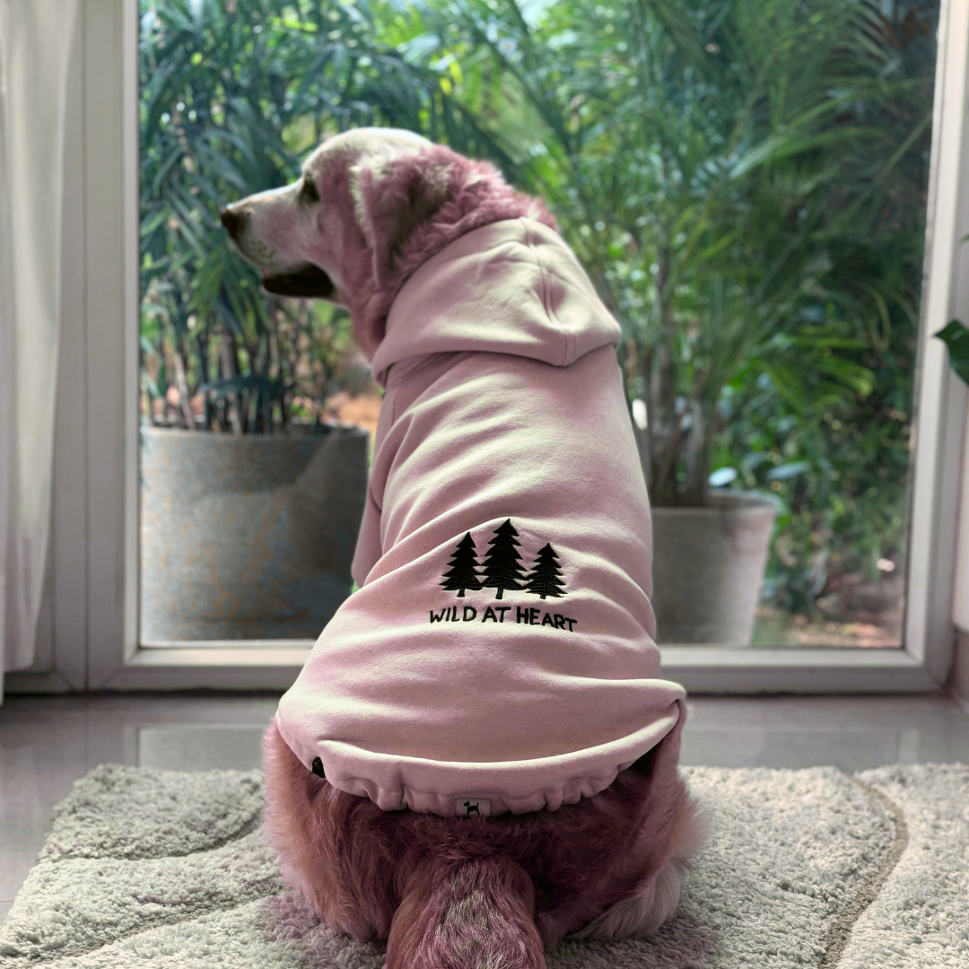 Dog hoodies Dubai | Large Dog Winter wears online Dubai | Dog Clothes online UAE