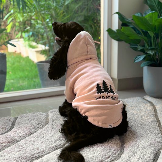 Dog hoodies Dubai | Dog Winter wears online Dubai | Dog Clothes online UAE