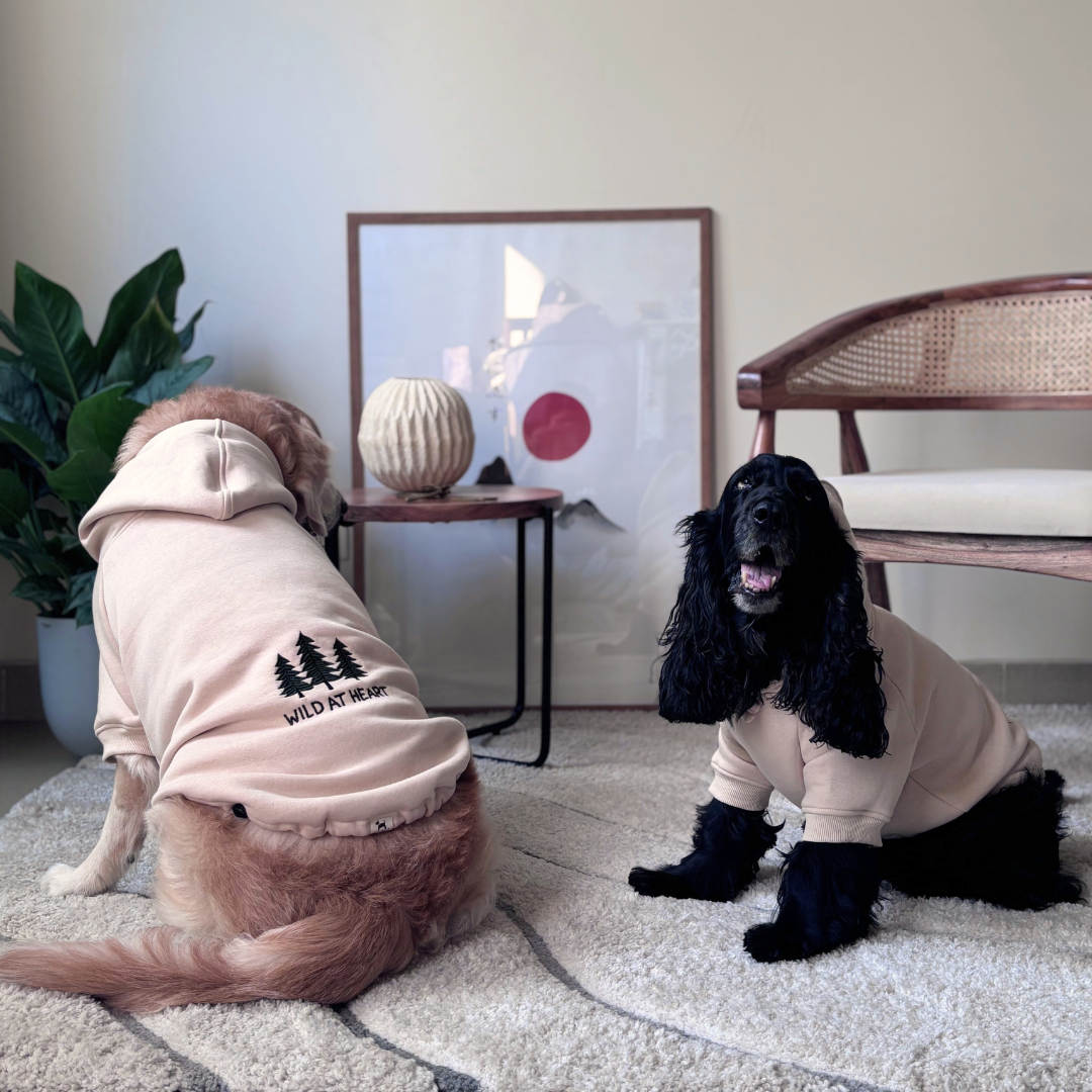 Dog sweatshirts Dubai | Large Dog Winter wears online Dubai | Dog Clothes online UAE