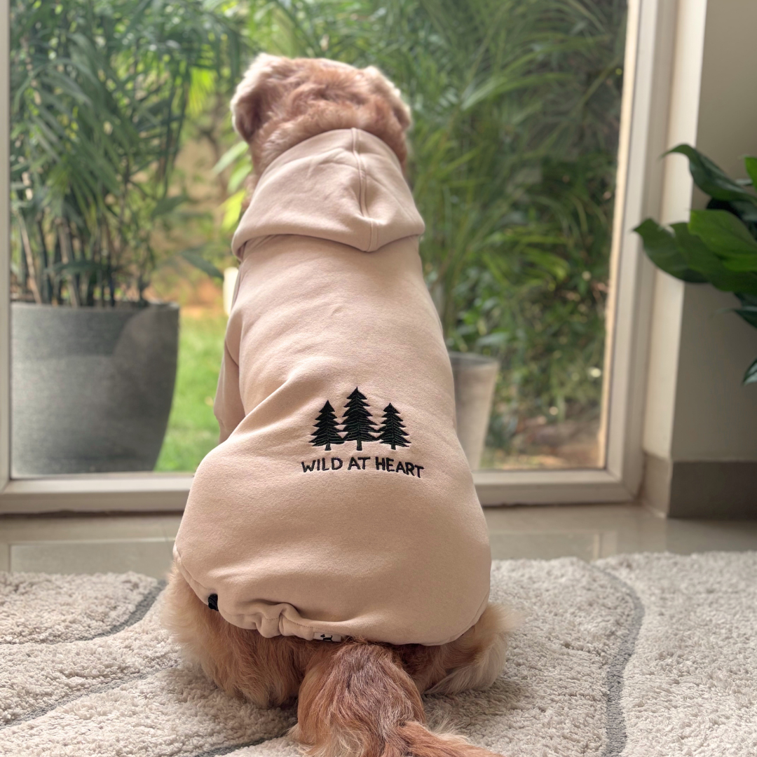 Dog hoodies Dubai | Large Dog Winter wears online Dubai | Dog Clothes online UAE