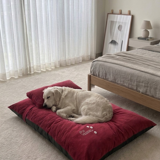 Large dog beds Dubai | Best dog beds UAE | Luxury dog beds Dubai