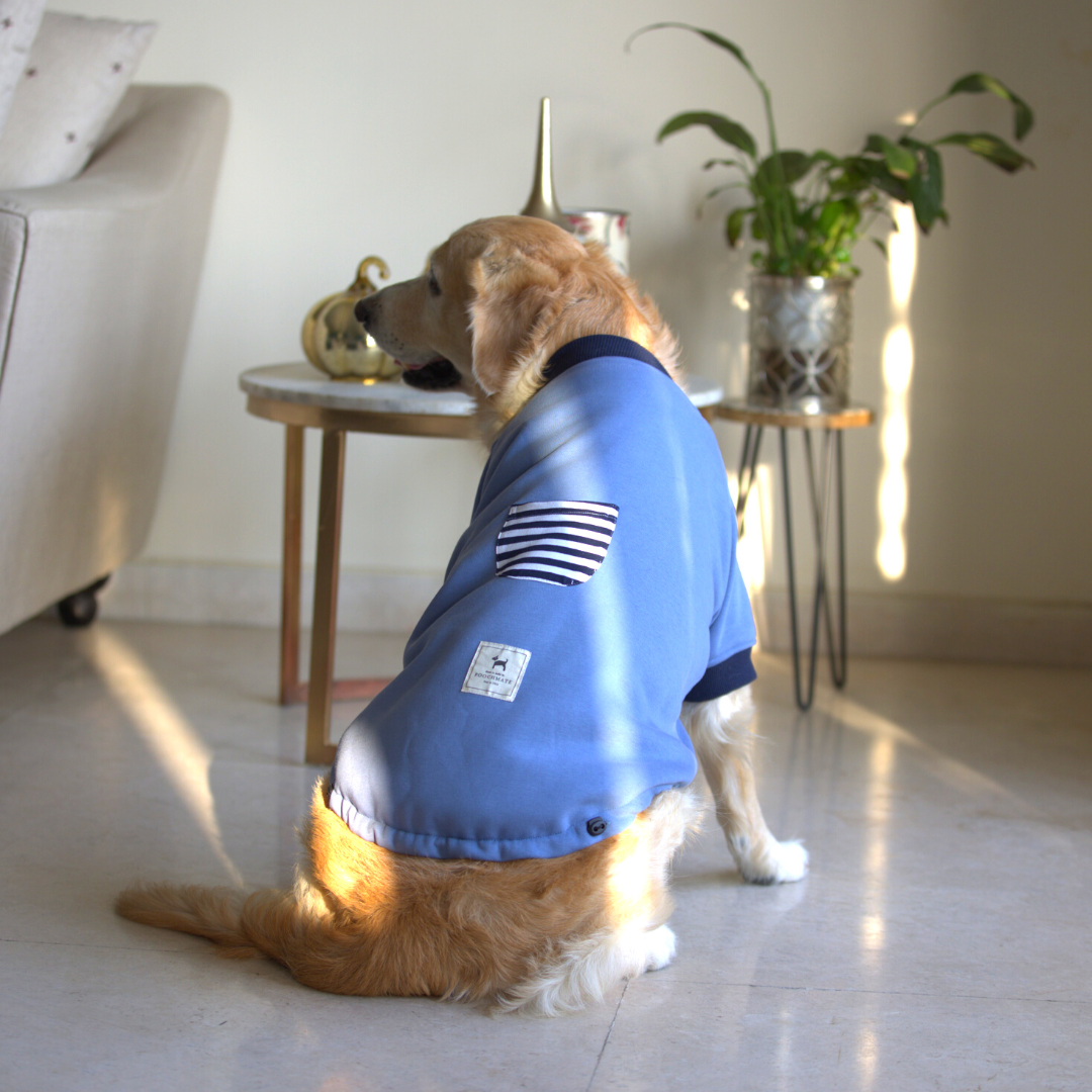 Dog clothes UAE | Warm clothes for dogs UAE