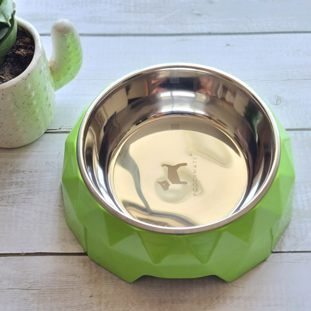 Shop dog bowls online Dubai | Online pet store in Dubai