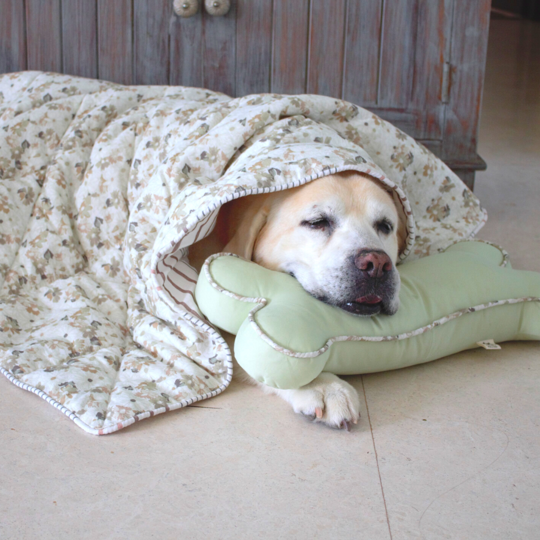 Pet Blankets online UAE| Dog Accessories online Dubai