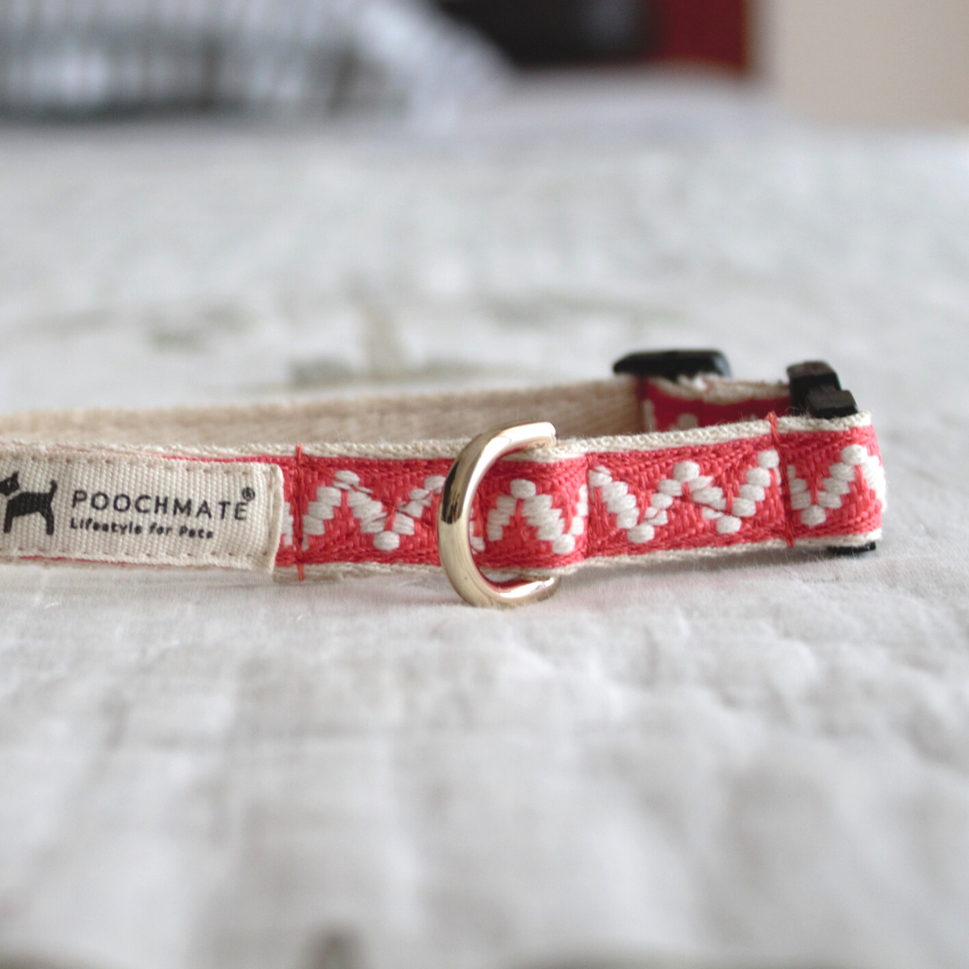 Cat Collars Dubai | cat Collars online UAE