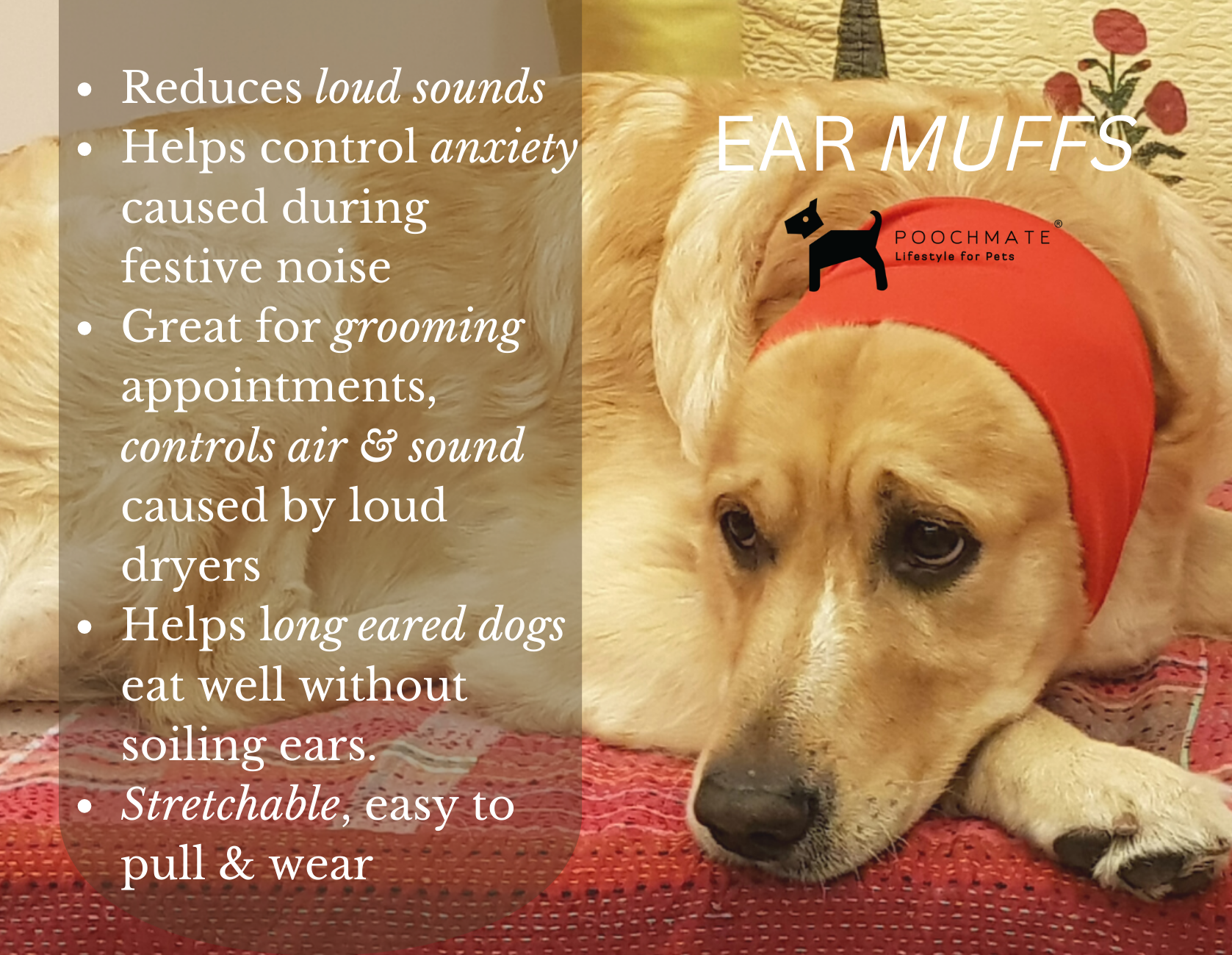 Ear muffs for dogs UAE| Ear protection for dogs from loud noise 